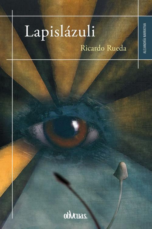 Cover of the book Lapislázuli by Ricardo Rueda, Ediciones Oblicuas