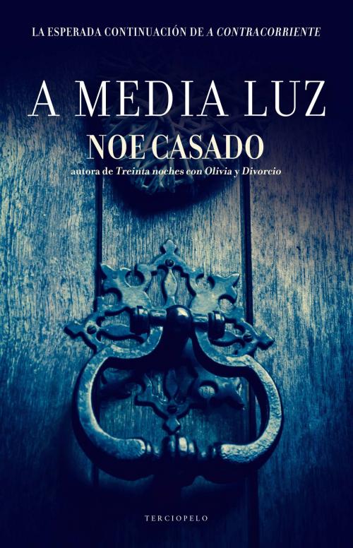 Cover of the book A media luz by Noe Casado, Roca Editorial de Libros