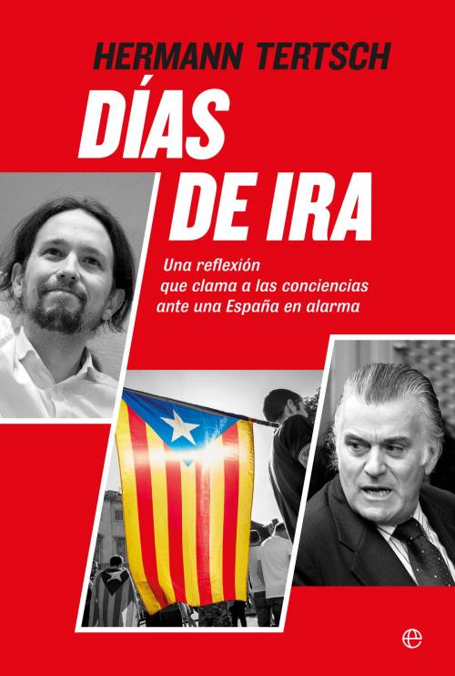 Cover of the book Días de ira by Hermann Tertsch, La Esfera de los Libros