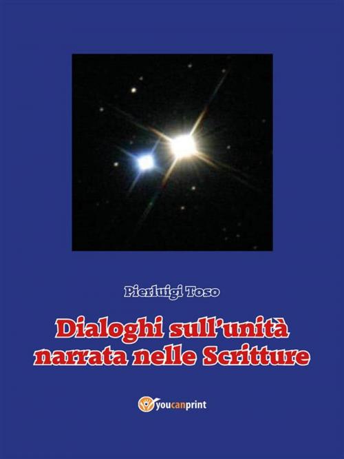 Cover of the book Dialoghi sull'unità narrata nelle Scritture by Pierluigi Toso, Youcanprint