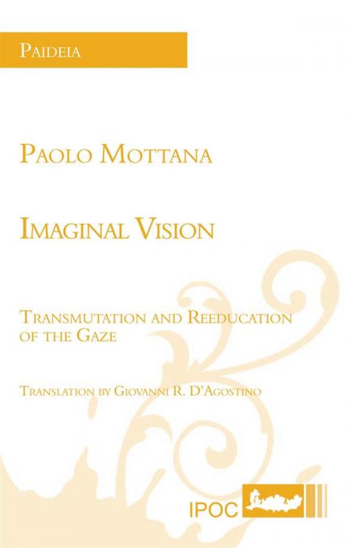 Cover of the book Imaginal Vision - Transmutation and Reeducation of the Gaze by Paolo Mottana, IPOC Italian Path of Culture