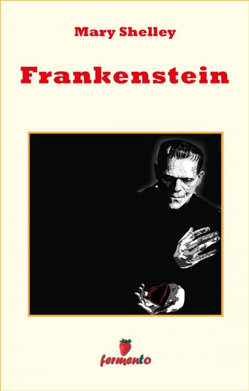 Cover of the book Frankenstein by Mary Shelley, Fermento