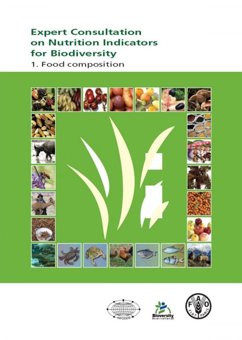 Cover of the book Expert Consultation on Nutrition Indicators for Biodiversity Food composition by Food and Agriculture Organization of the United Nations, Food and Agriculture Organization of the United Nations