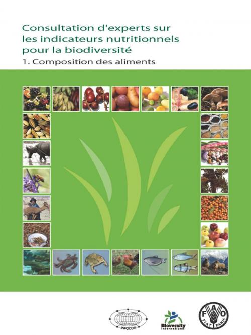 Cover of the book Consultation d’experts sur les indicateurs nutritionnels pour la biodiversité by FAO fiat panis, Food and Agriculture Organization of the United Nations