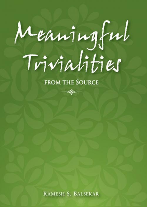 Cover of the book Meaningful Trivialities From The Source by Ramesh S. Balsekar, Ramesh S. Balsekar