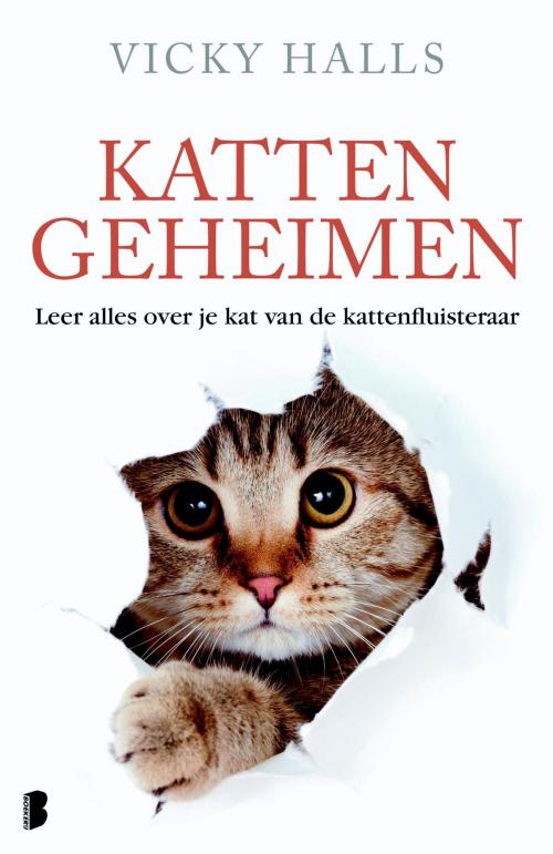 Cover of the book Kattengeheimen by Vicky Halls, Meulenhoff Boekerij B.V.