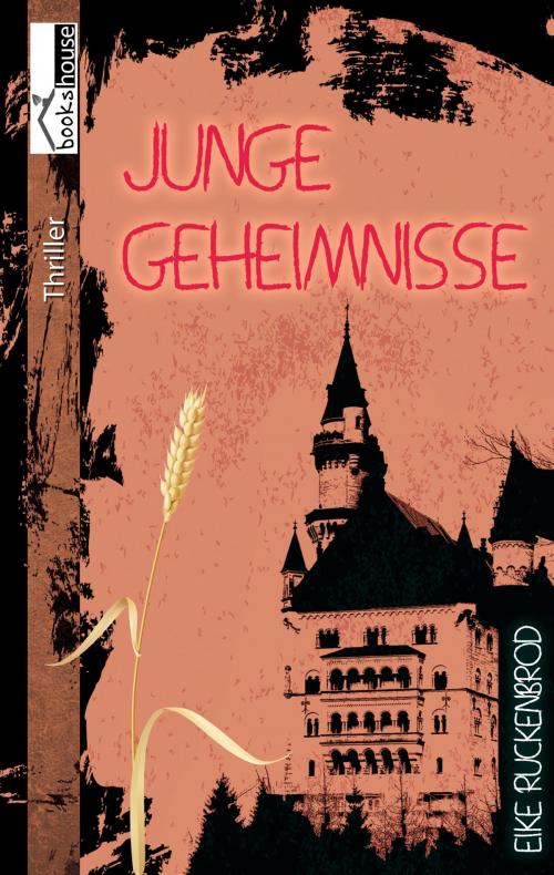 Cover of the book Junge Geheimnisse by Eike Ruckenbrod, bookshouse