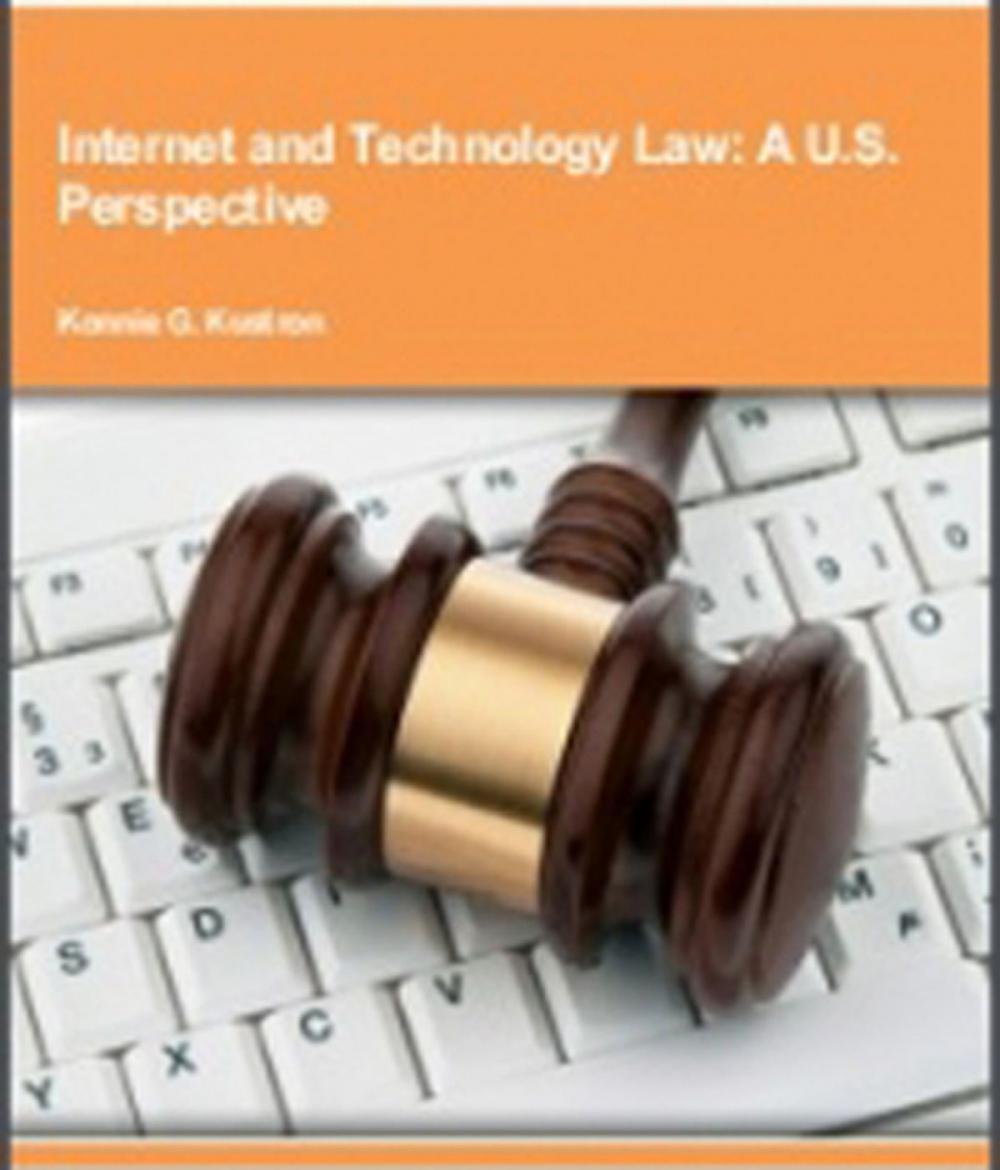 Big bigCover of internet-and-technology-law-a-u-s-perspective