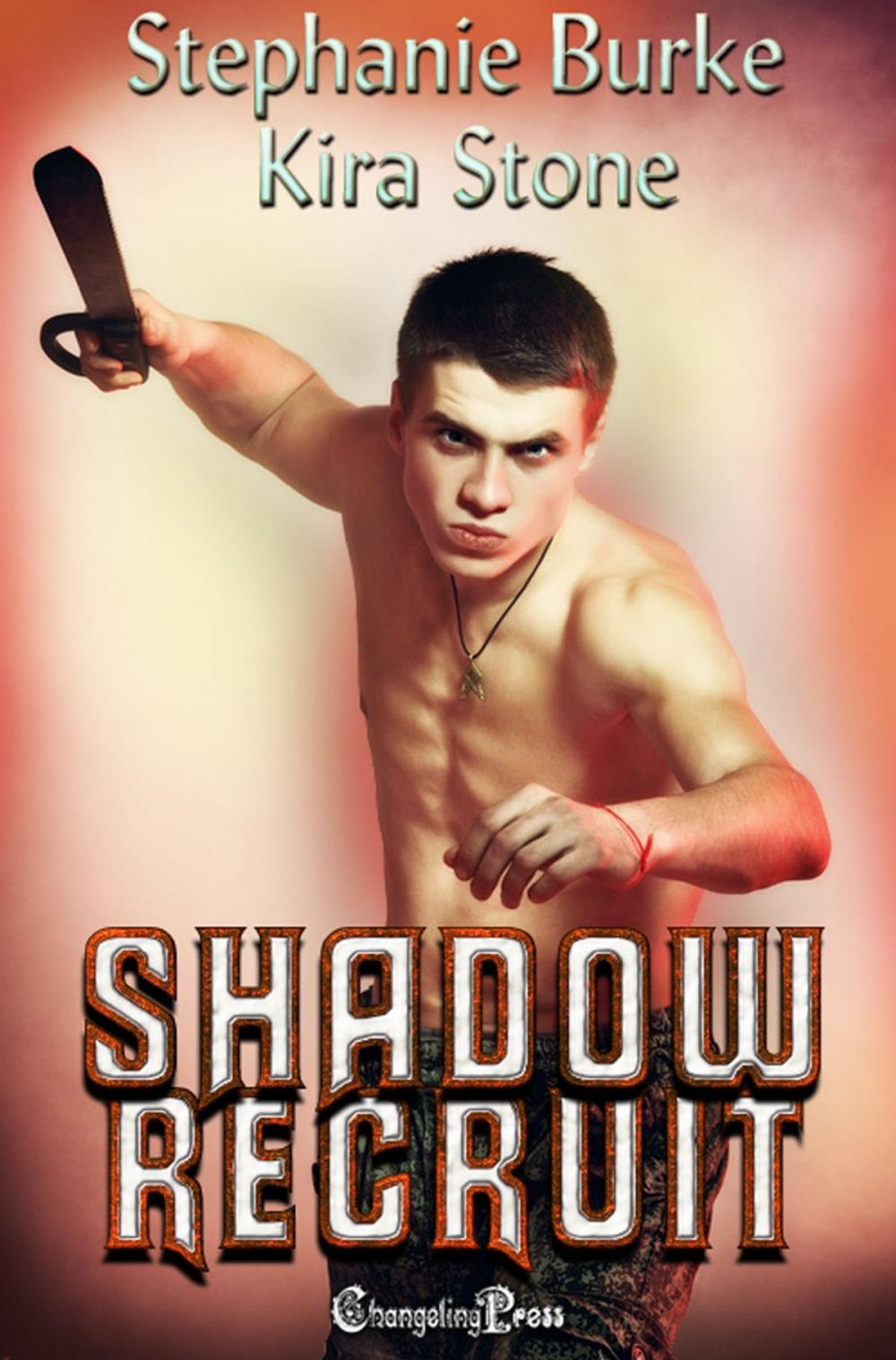 Big bigCover of Shadow Recruit