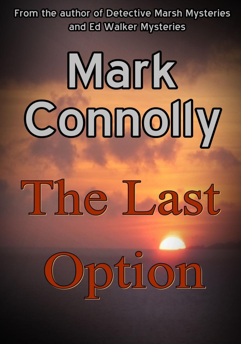 Big bigCover of The Last Option