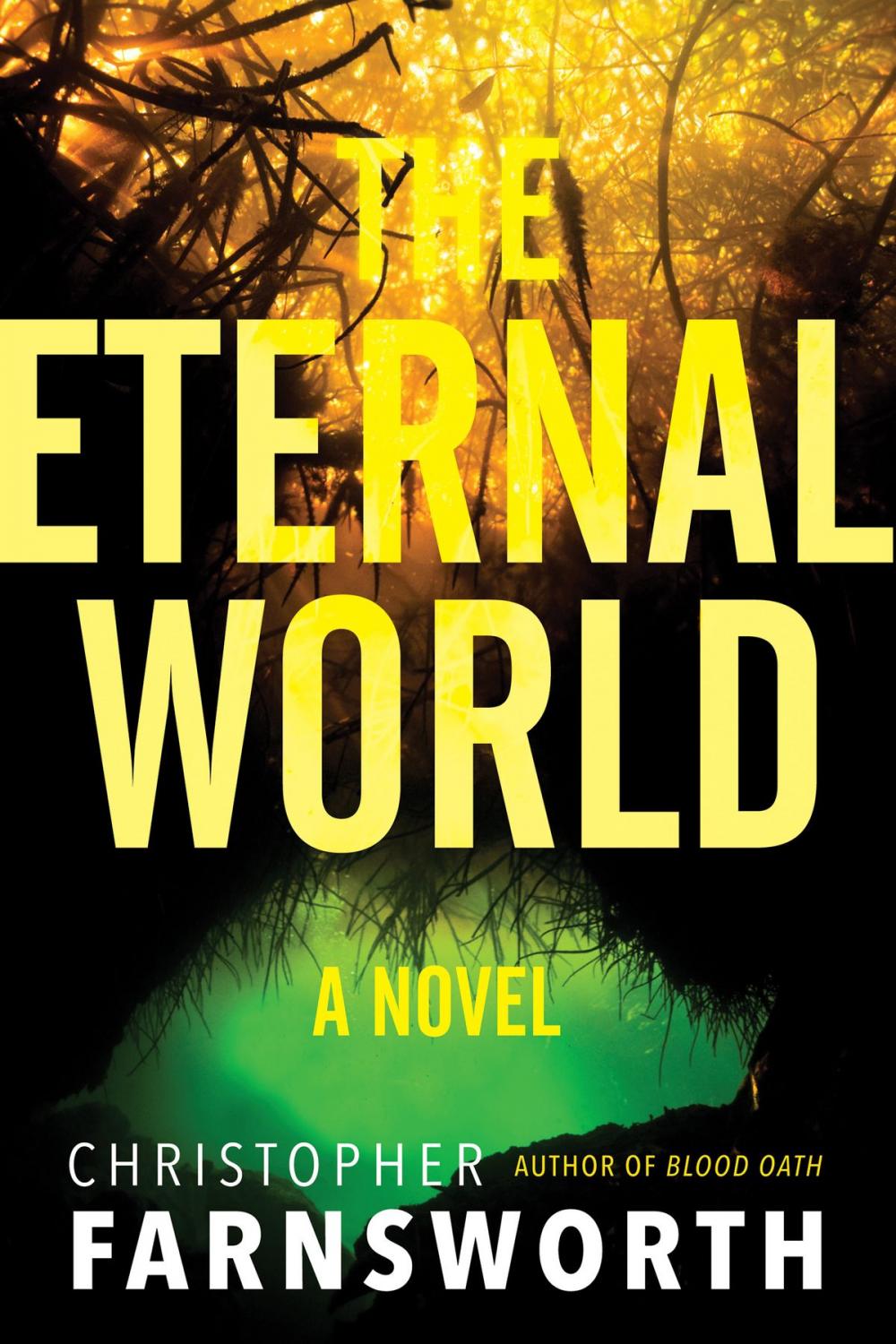 Big bigCover of The Eternal World