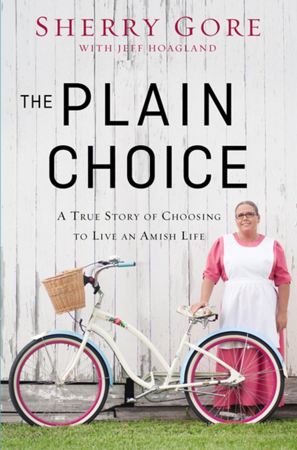 Big bigCover of The Plain Choice
