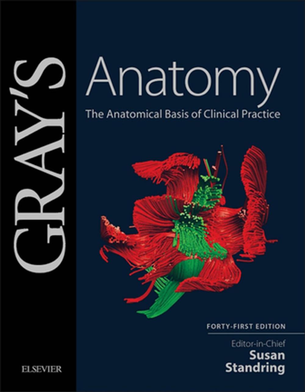 Big bigCover of Gray's Anatomy E-Book