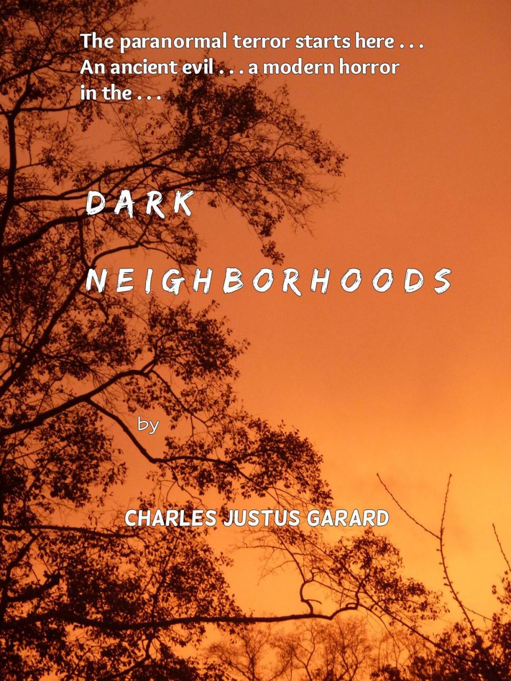Big bigCover of Dark Neighborhoods