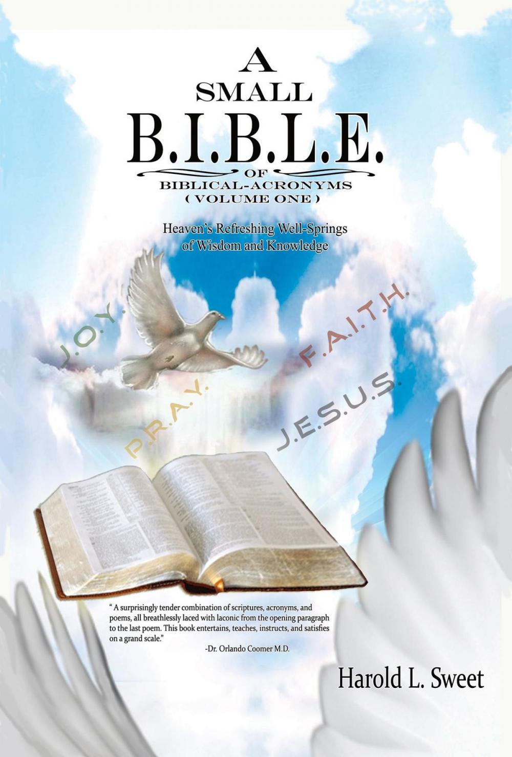 Big bigCover of A Small B.I.B.L.E. of Biblical Acronyms