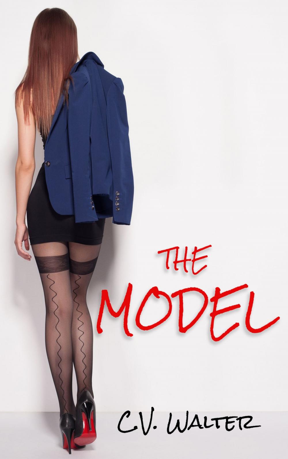 Big bigCover of The Model