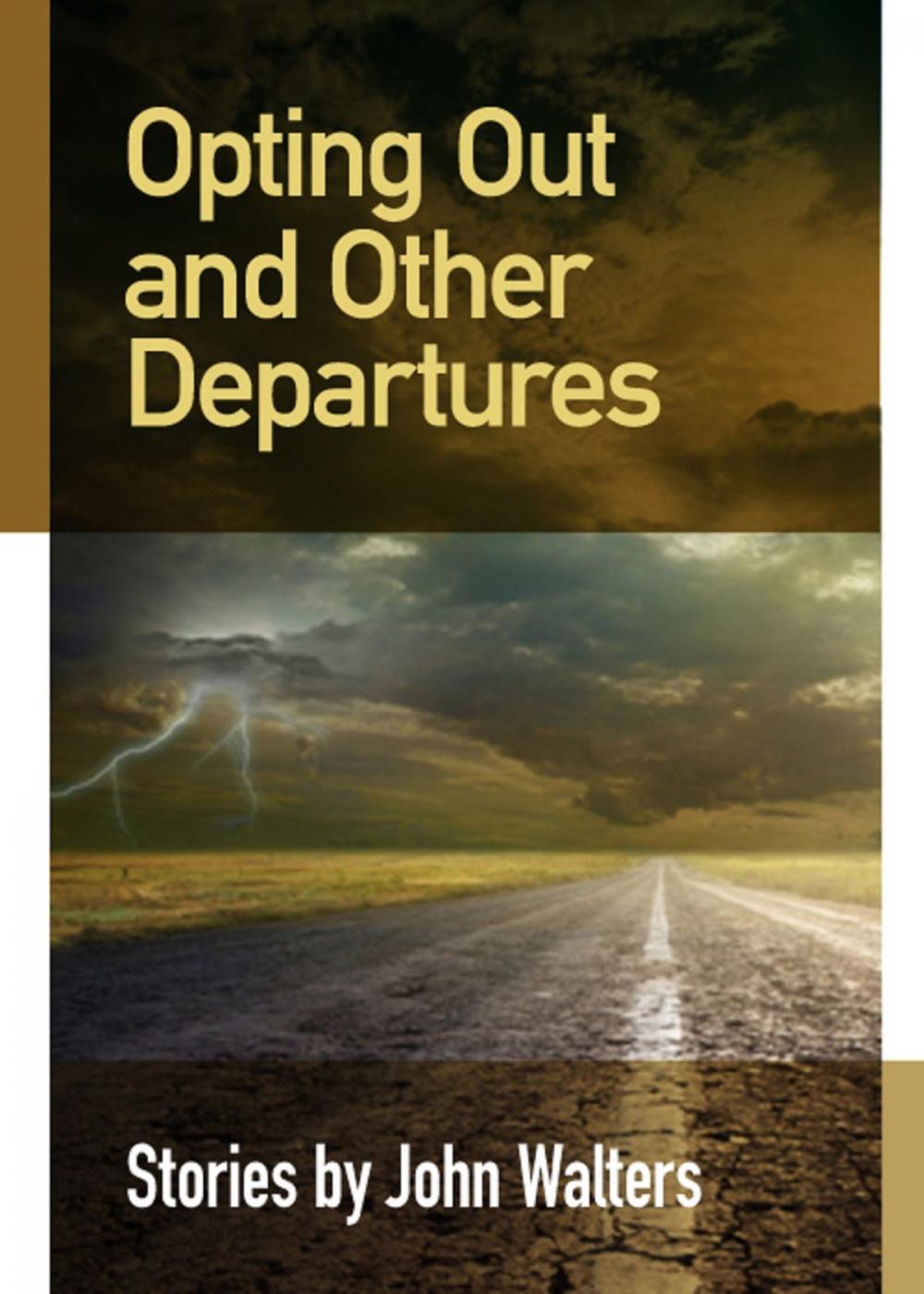Big bigCover of Opting Out and Other Departures