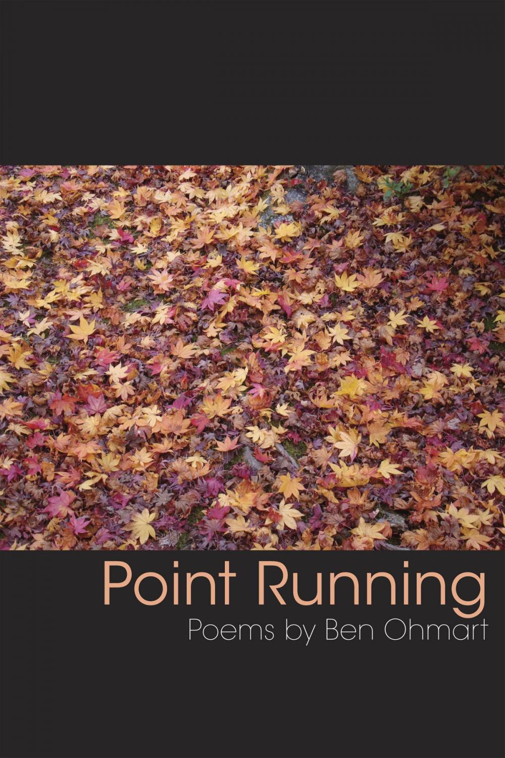 Big bigCover of Point Running