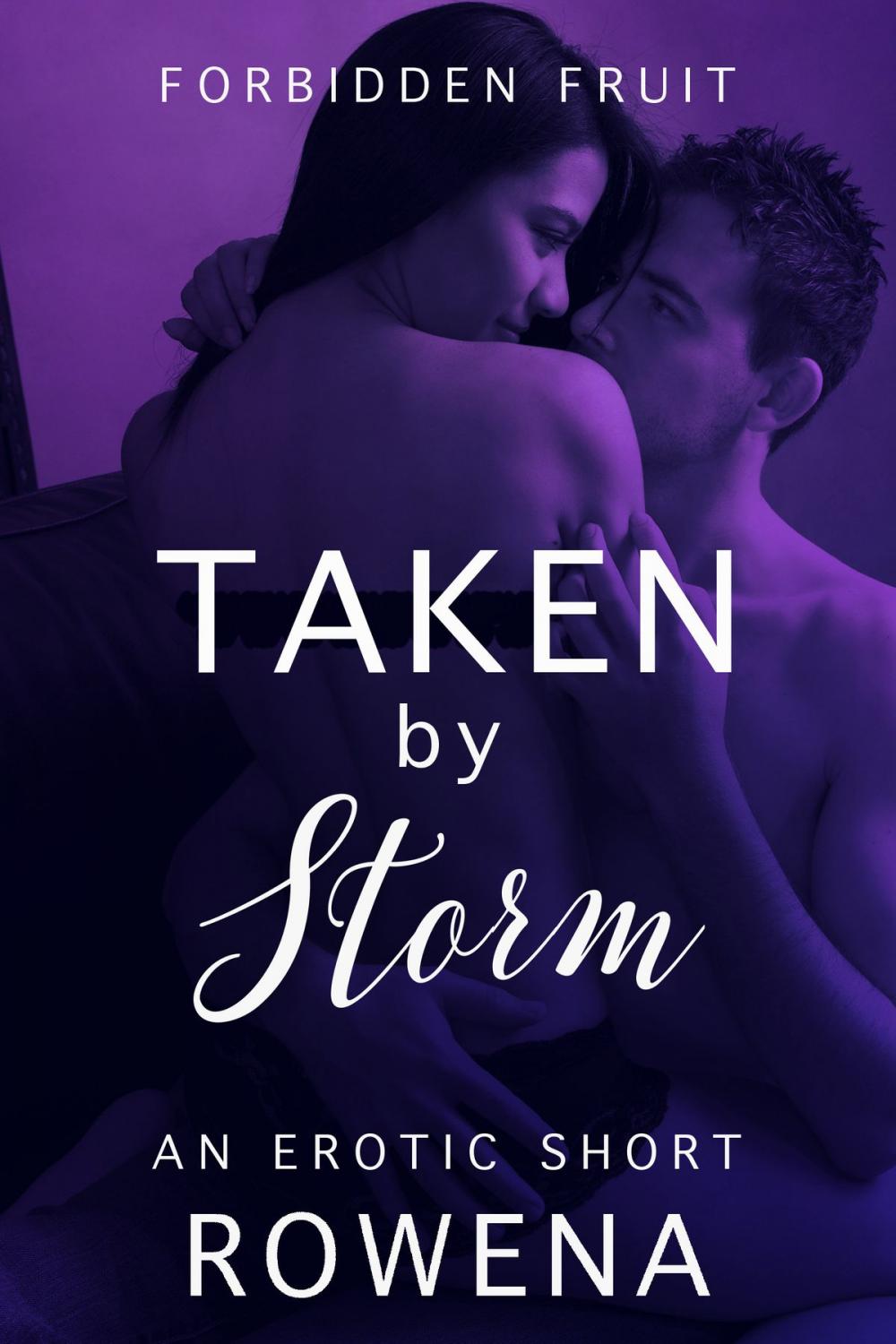 Big bigCover of Taken by Storm: An Erotic Short