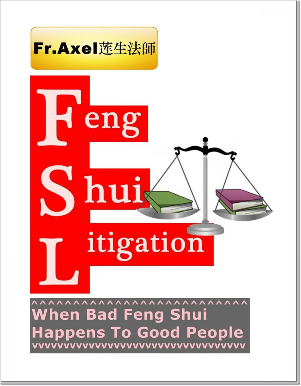 Big bigCover of Feng Shui Litigation