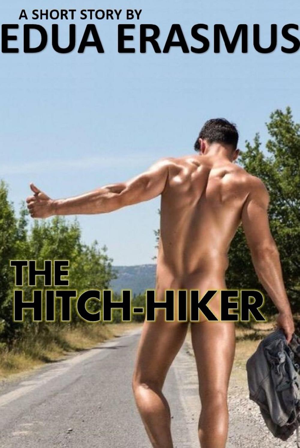 Big bigCover of The Hitch-Hiker