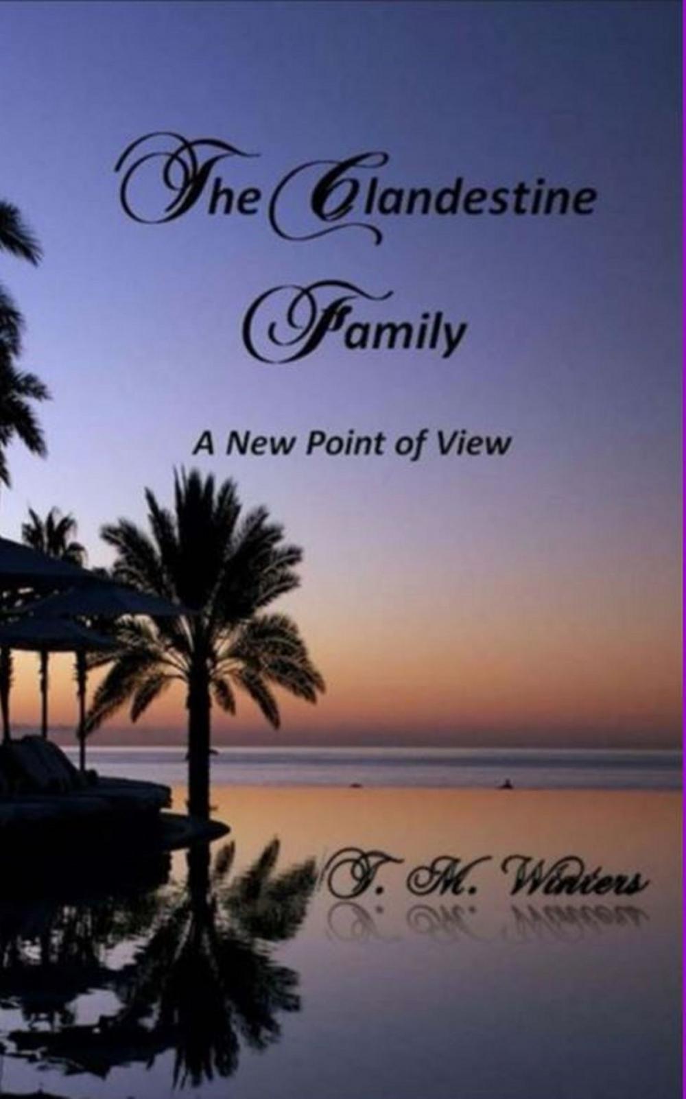 Big bigCover of TheClandestine Family A New Point of View Book Two