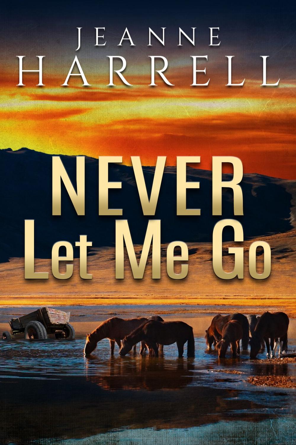 Big bigCover of Never Let Me Go (These Nevada Boys series, Book 2)
