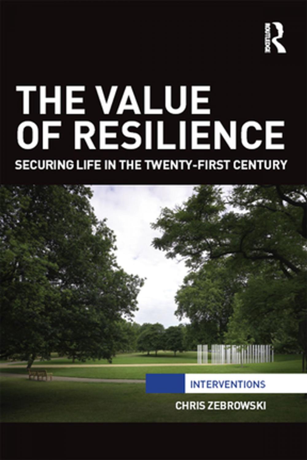 Big bigCover of The Value of Resilience