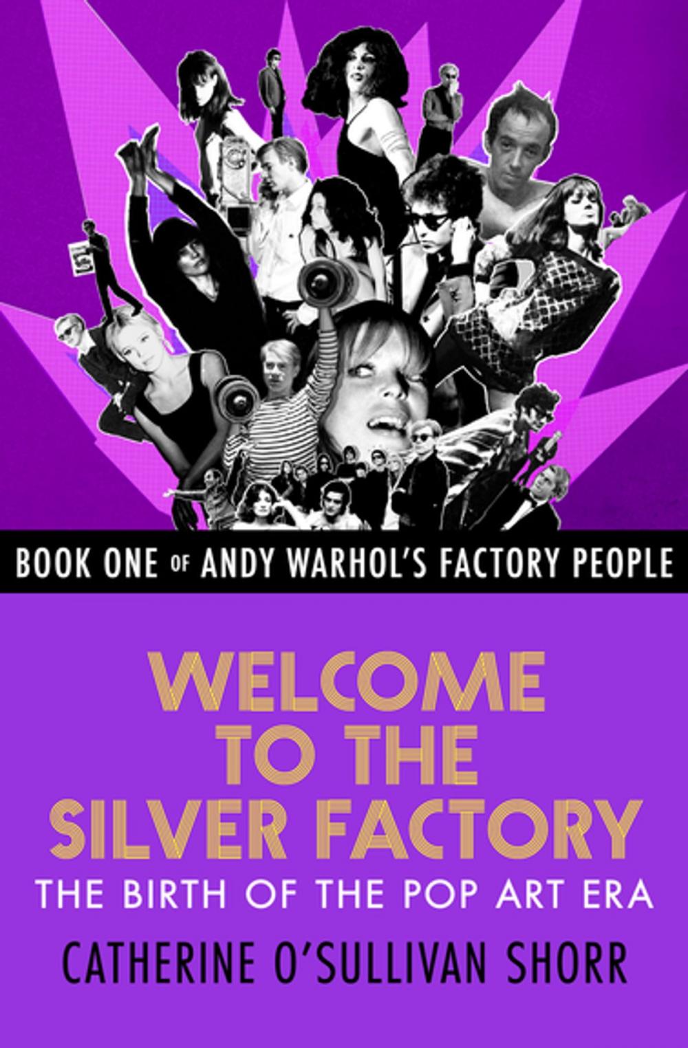 Big bigCover of Welcome to the Silver Factory