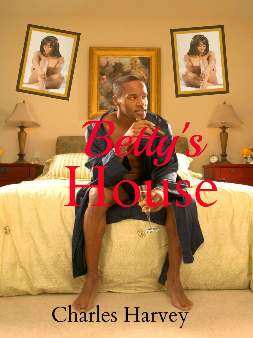 Big bigCover of Betty's House