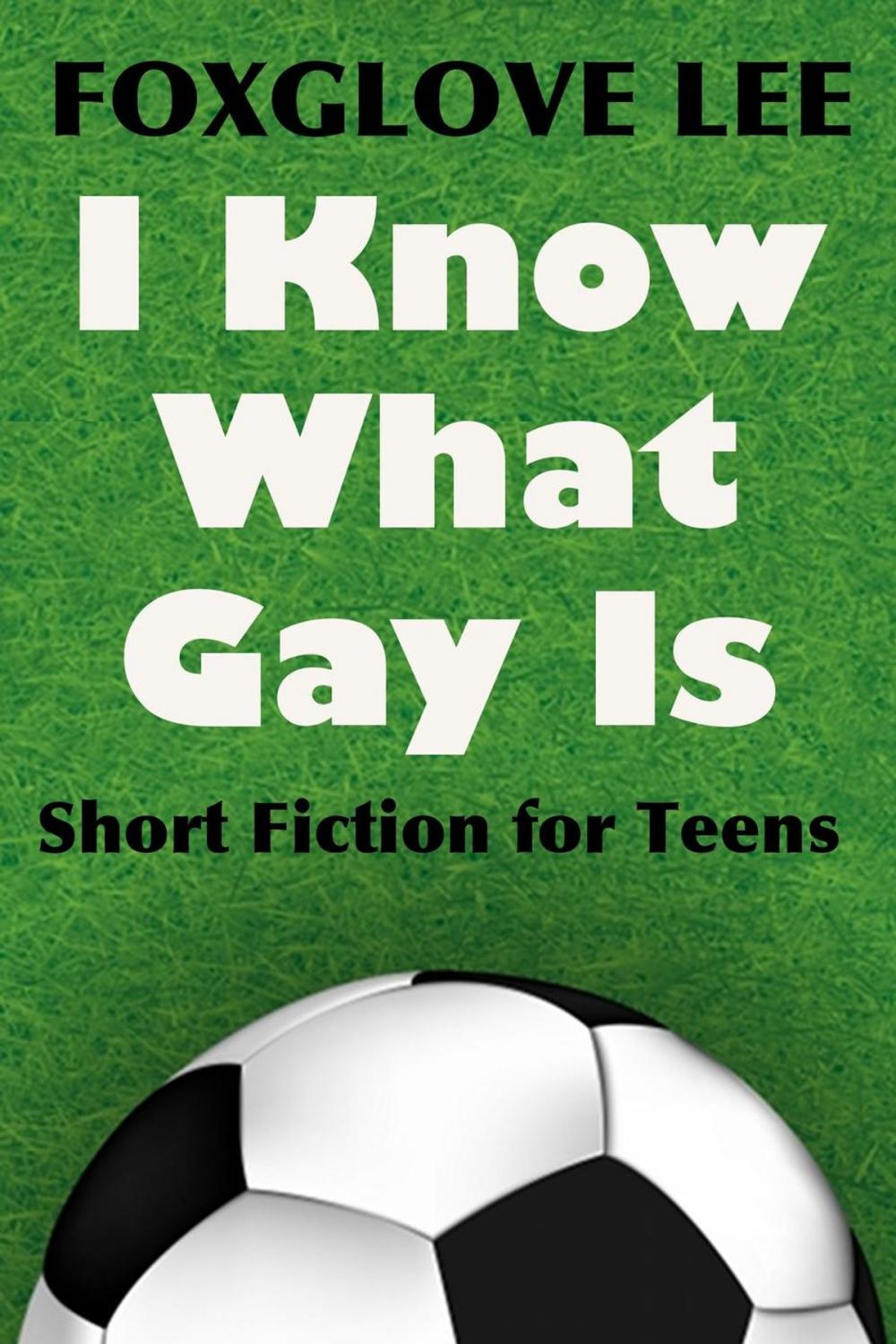 Big bigCover of I Know What Gay Is: Short Fiction for Teens