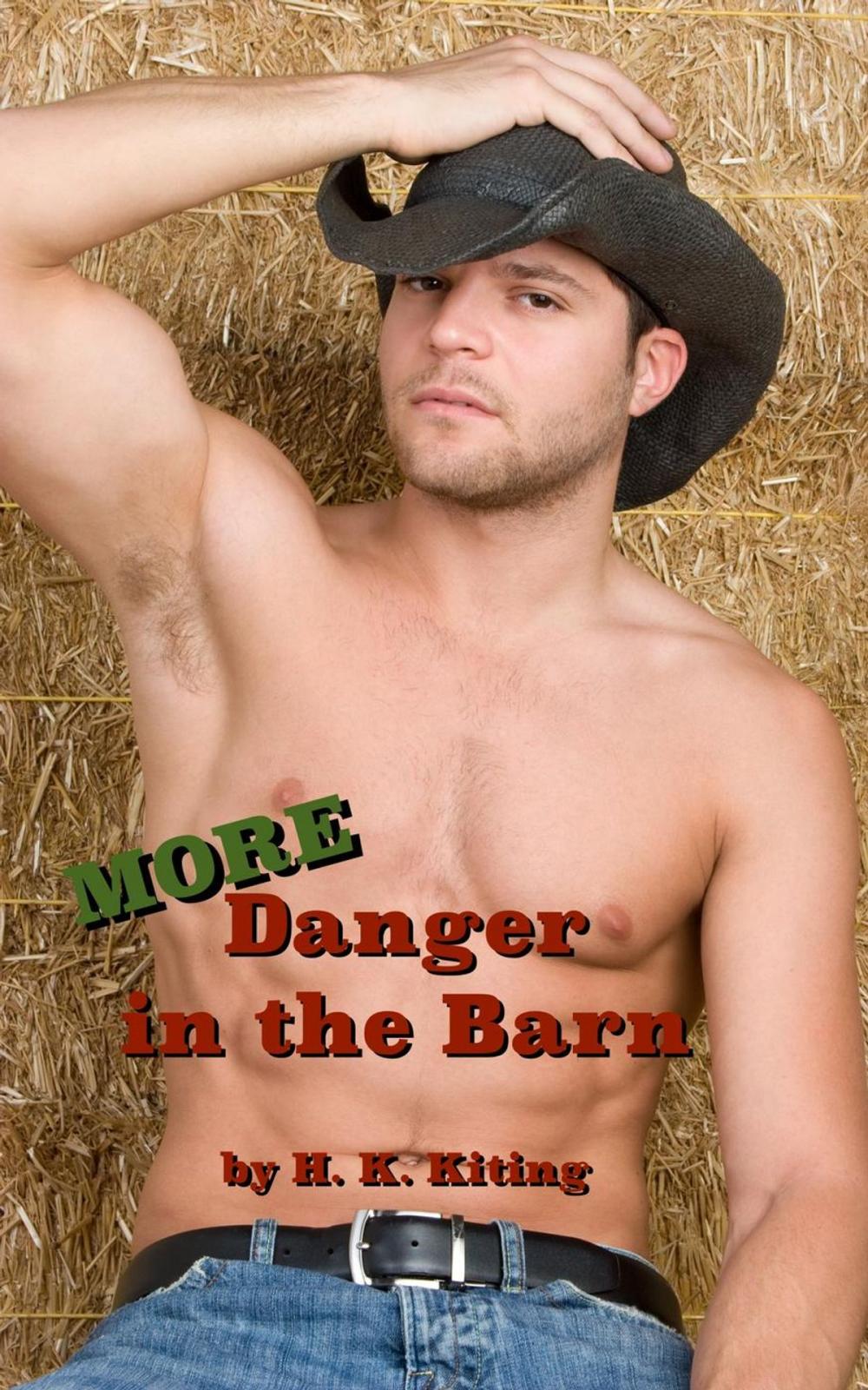 Big bigCover of More Danger in the Barn