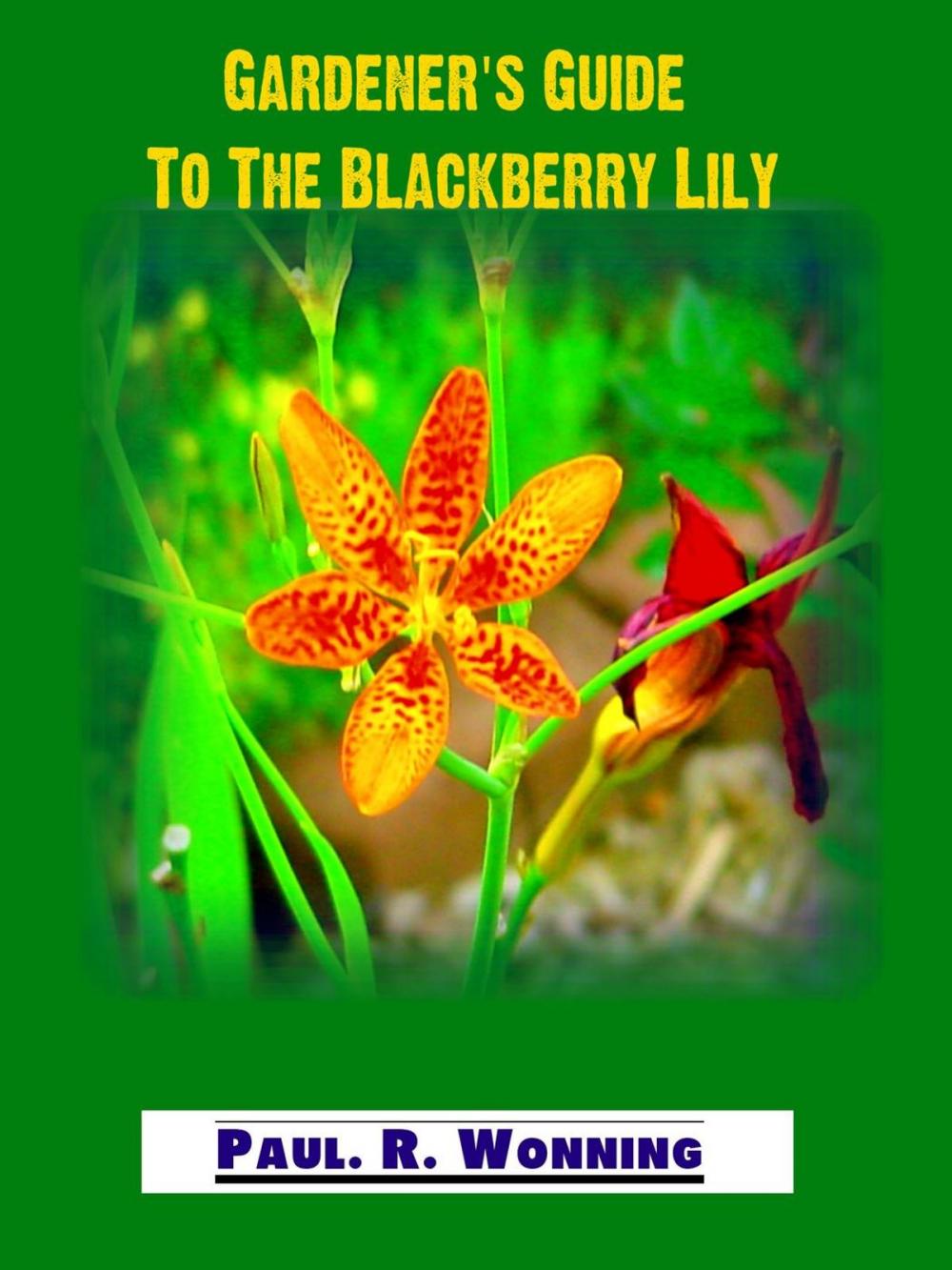 Big bigCover of Gardener‘s Guide to the Perennial Blackberry Lily
