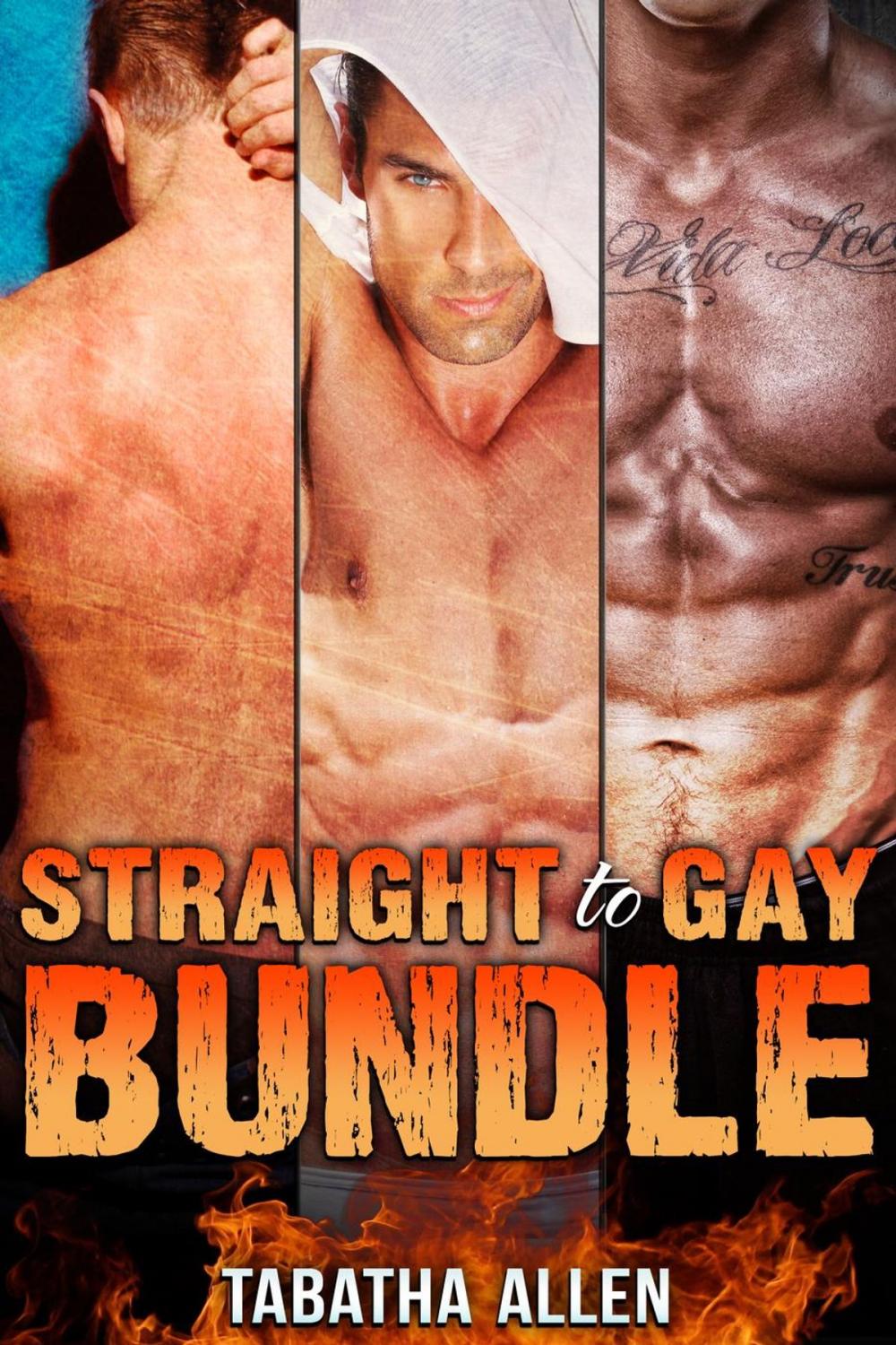 Big bigCover of Straight to Gay Bundle