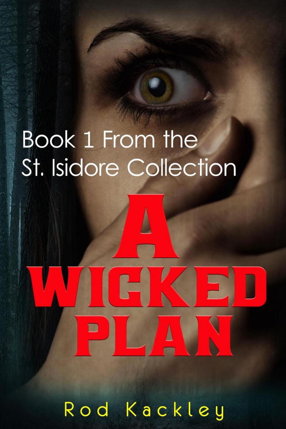 Big bigCover of A Wicked Plan: Book 1 From the St. Isidore Collection