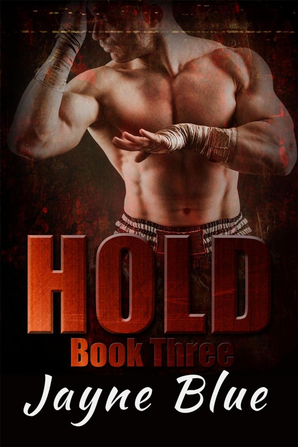 Big bigCover of Hold Book 3
