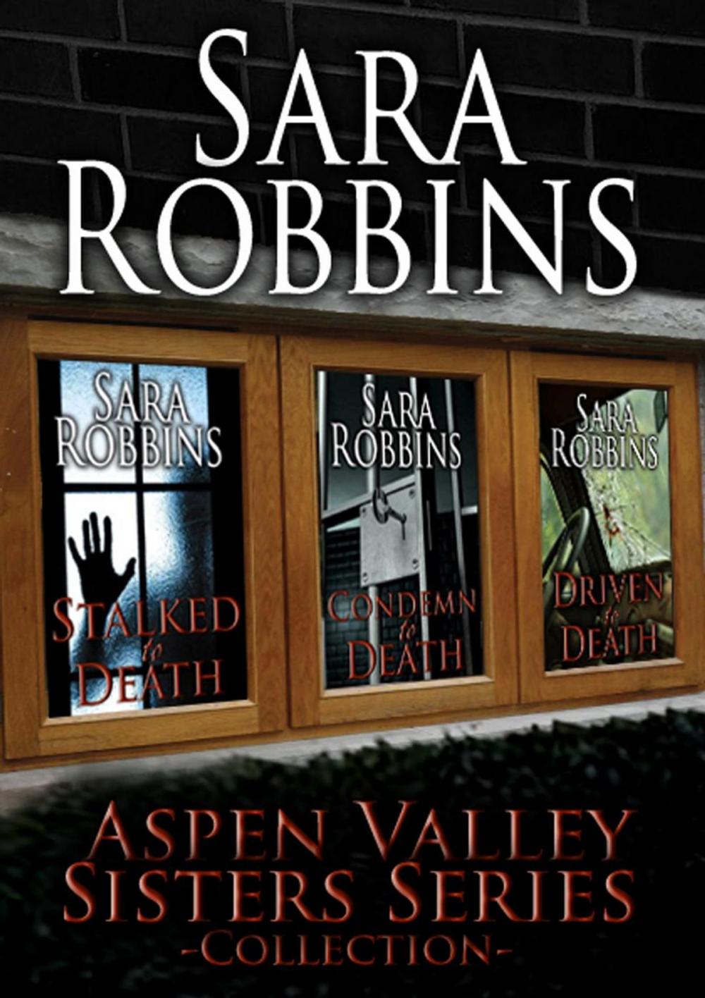 Big bigCover of Aspen Valley Sisters Collection (Book 1-3)