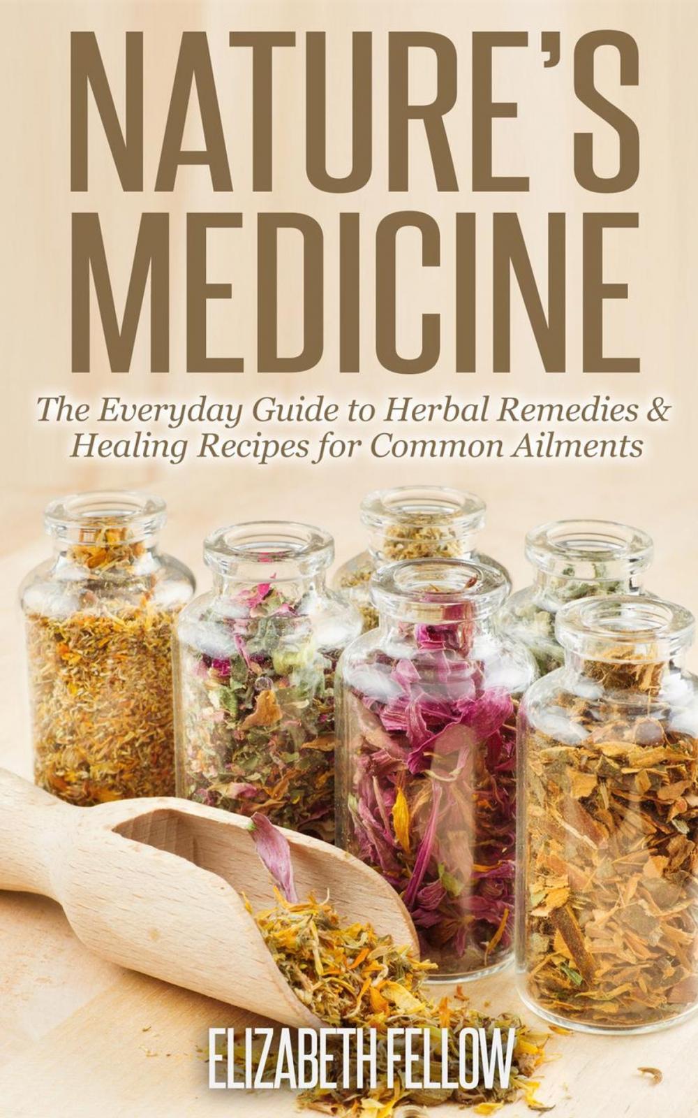 Big bigCover of Nature’s Medicine: The Everyday Guide to Herbal Remedies & Healing Recipes for Common Ailments