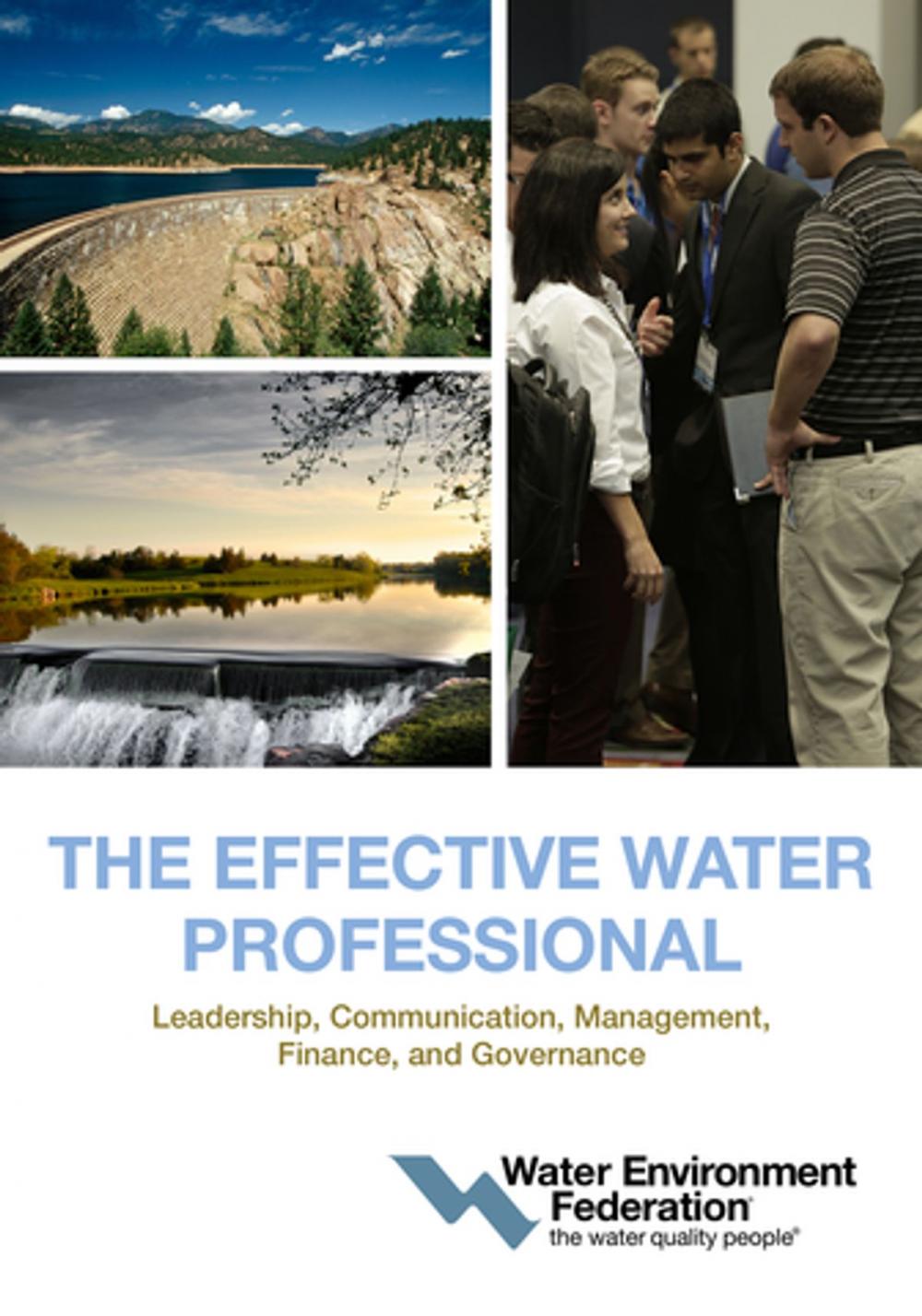 Big bigCover of The Effective Water Professional
