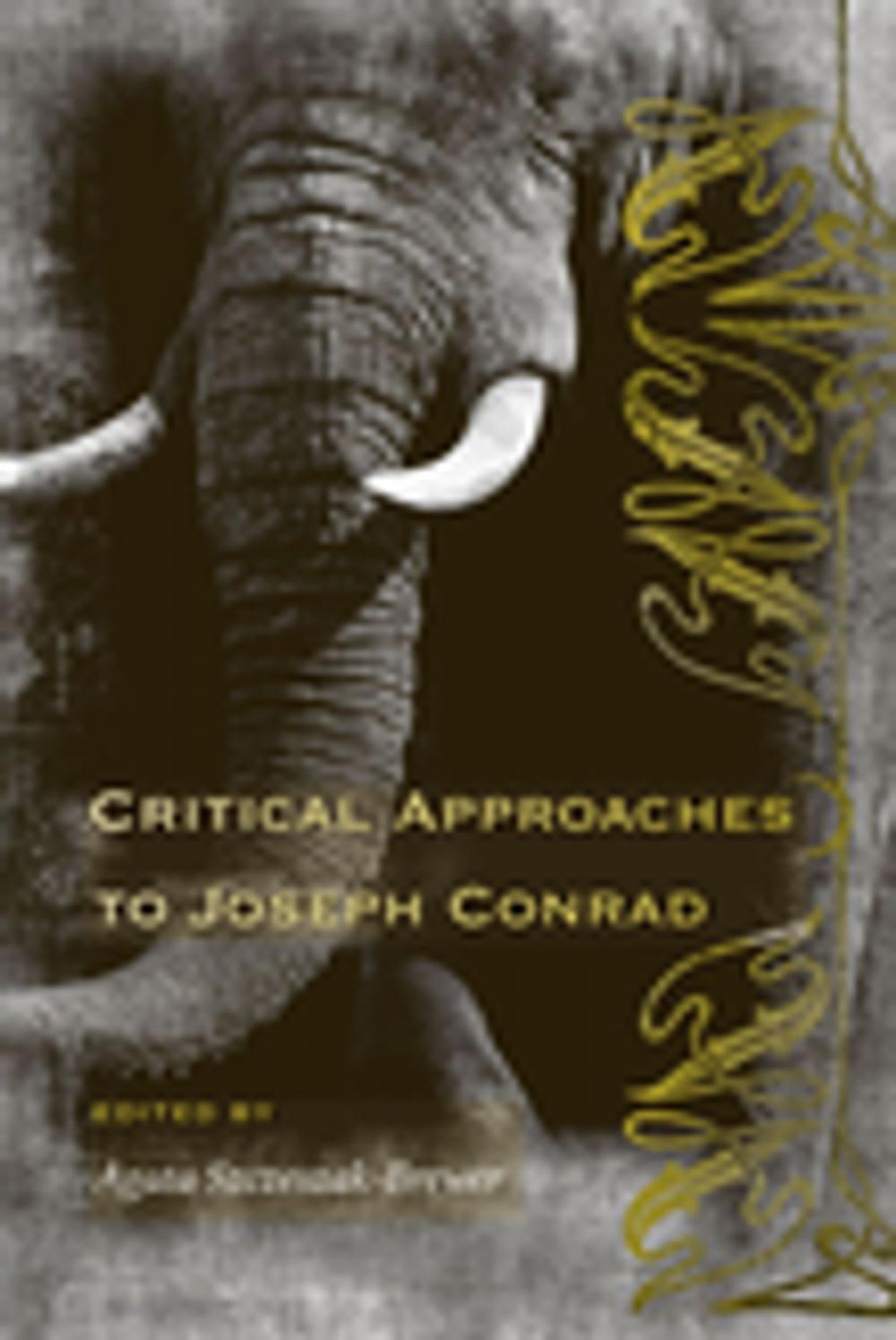 Big bigCover of Critical Approaches to Joseph Conrad