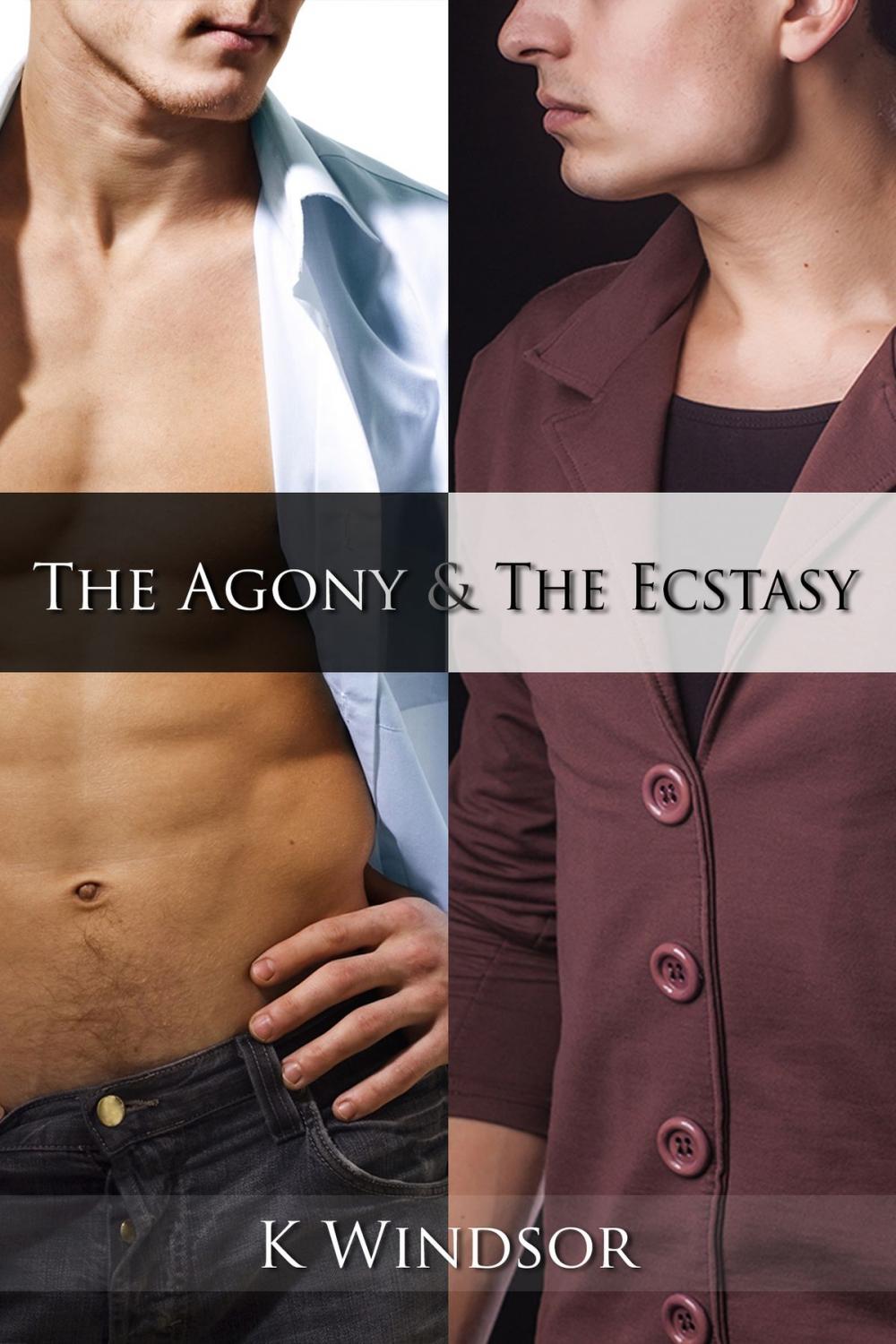 Big bigCover of The Agony & The Ecstasy