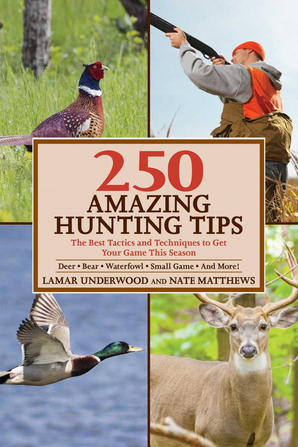 Big bigCover of 250 Amazing Hunting Tips