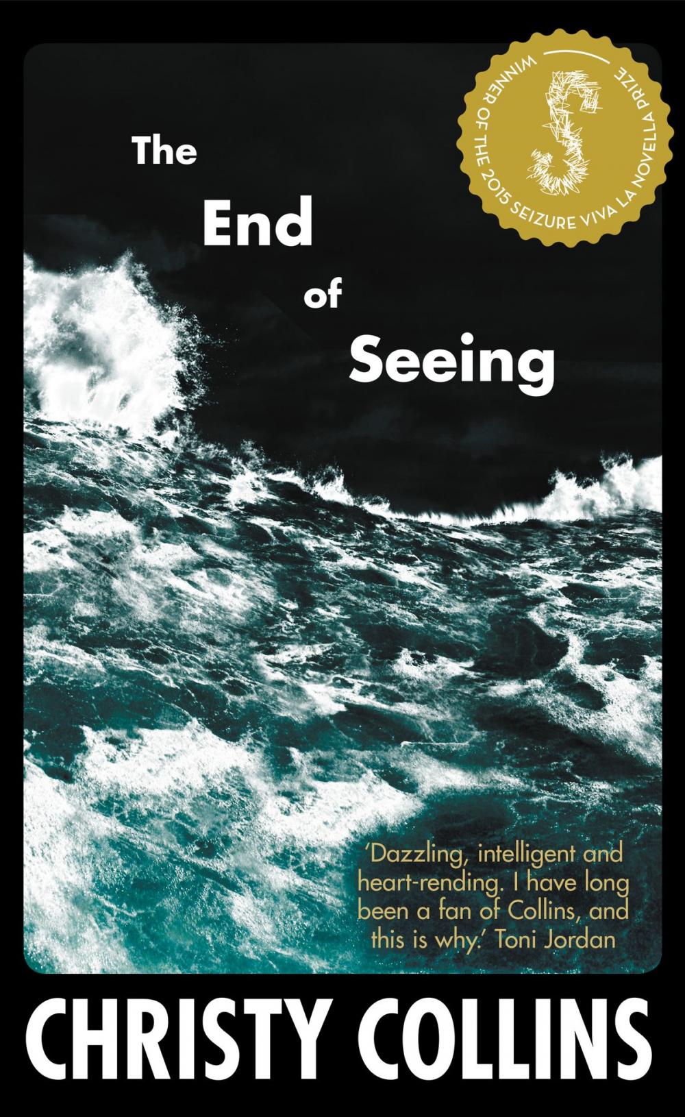 Big bigCover of The End of Seeing