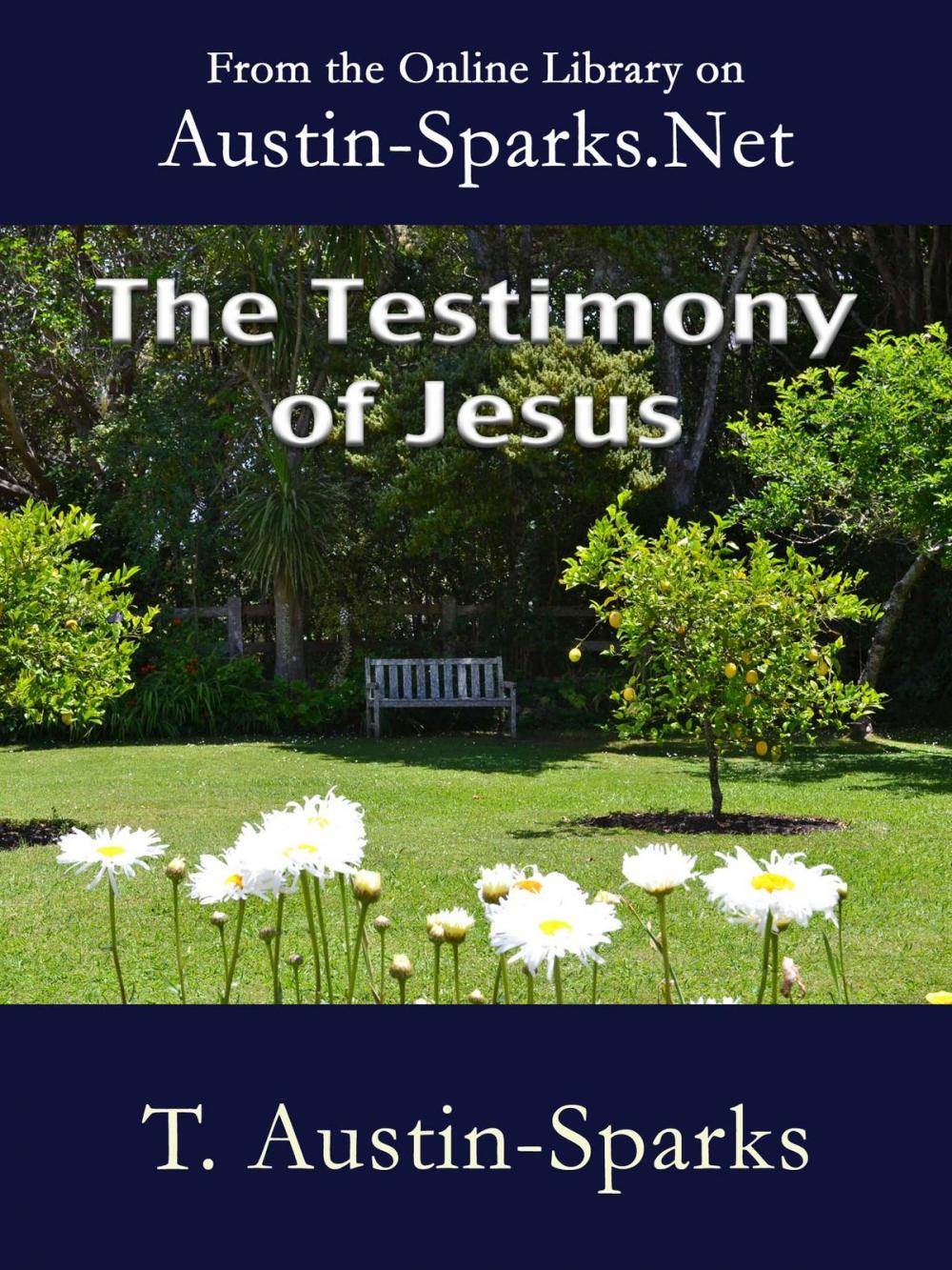 Big bigCover of The Testimony of Jesus