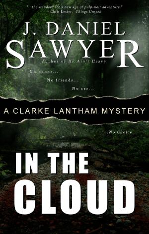 Cover of the book In The Cloud by J. Daniel Sawyer
