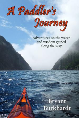 Cover of the book A Paddler's Journey by Jay Gitomer