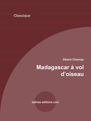 Cover of the book Madagascar à vol d'oiseau by Salines éditions