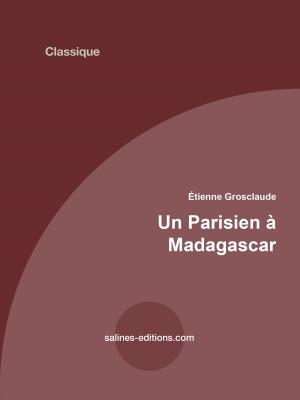 Cover of the book Un Parisien à Madagascar by Anonyme