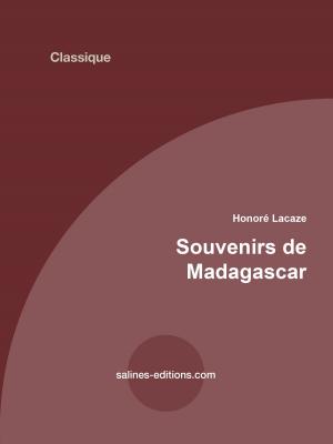 Cover of the book Souvenirs de madagascar by Adolphe Badin