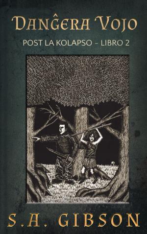 Cover of the book Danĝera Vojo by M. D. Cooper